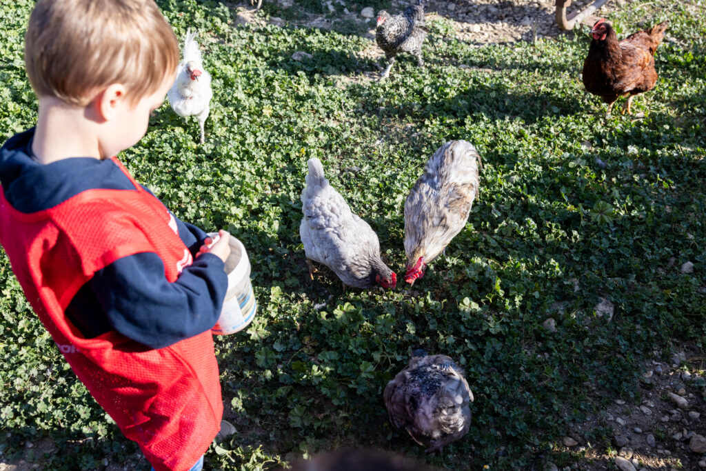 enfant et poule
